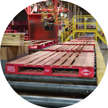 Pallets and Sustainability